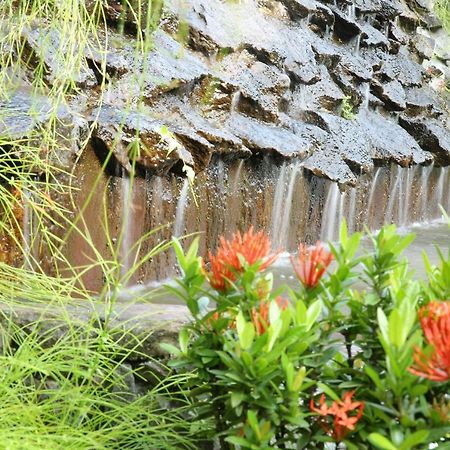 Ayurveda Centrum Lawrence Hill Paradise Hikkaduwa Εξωτερικό φωτογραφία