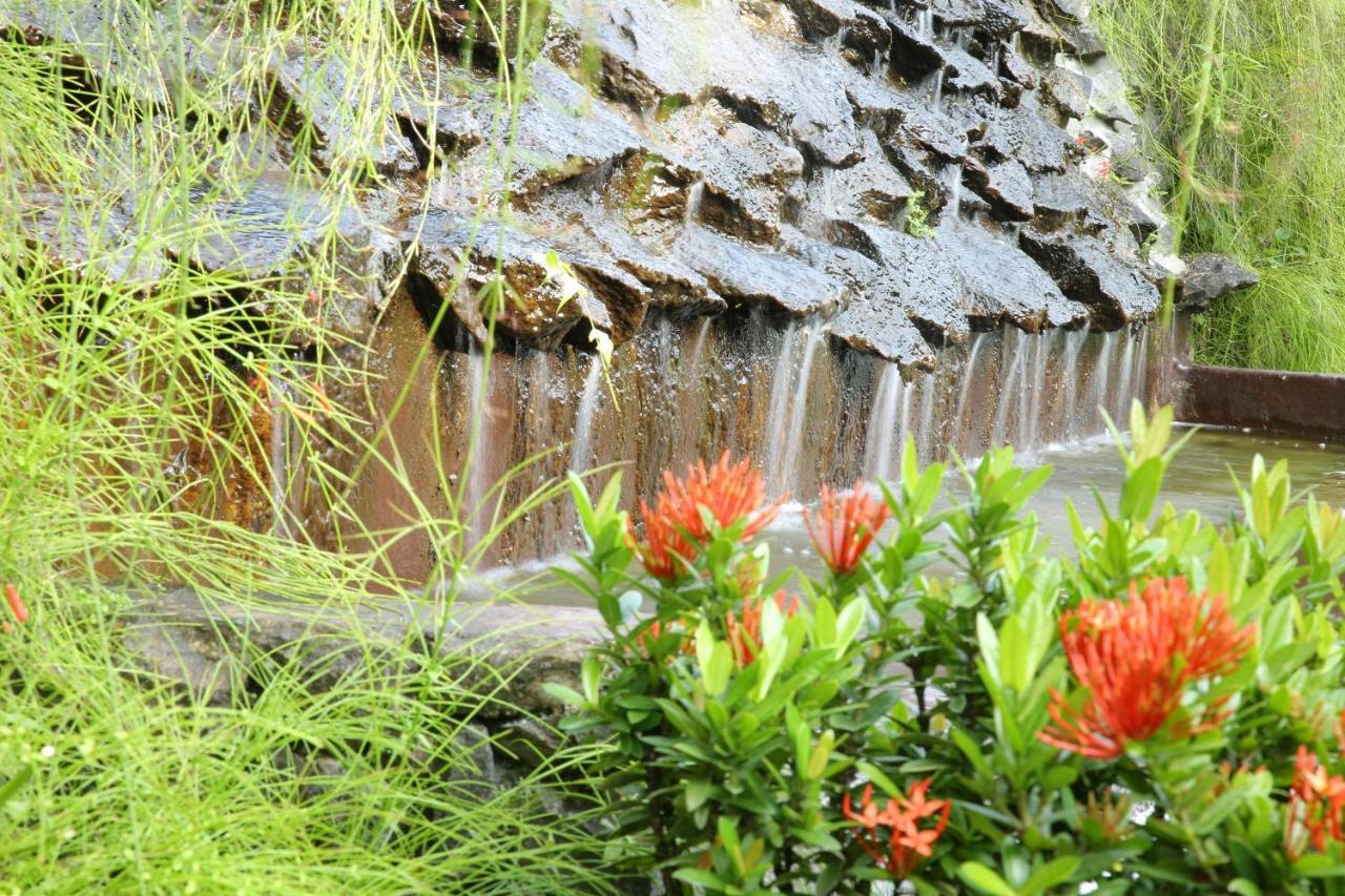Ayurveda Centrum Lawrence Hill Paradise Hikkaduwa Εξωτερικό φωτογραφία